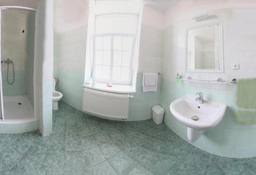 بنسيون Penzion Tillerova Vila