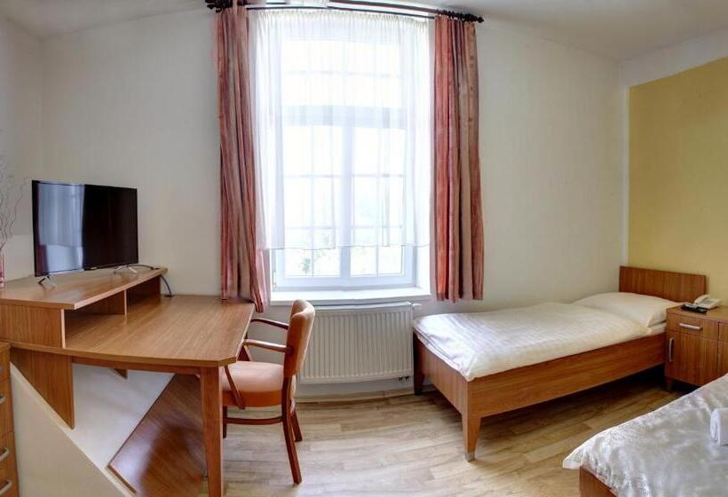 بنسيون Penzion Tillerova Vila