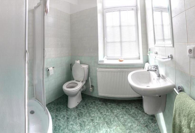 بنسيون Penzion Tillerova Vila