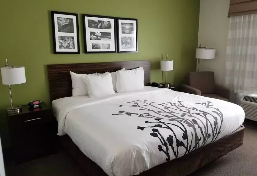 Hotel Sleep Inn & Suites Gulfport