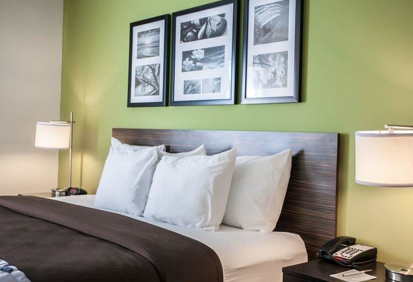 فندق Sleep Inn & Suites Gulfport