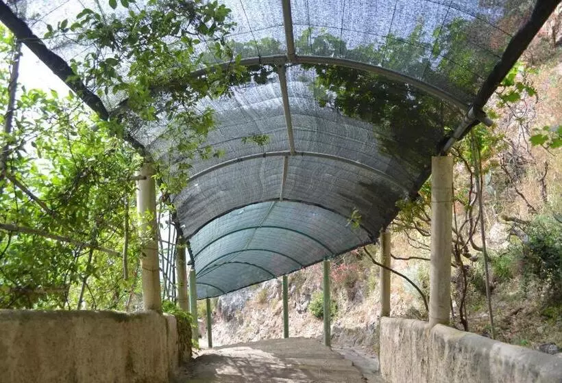 Отель Villaggio Calispera