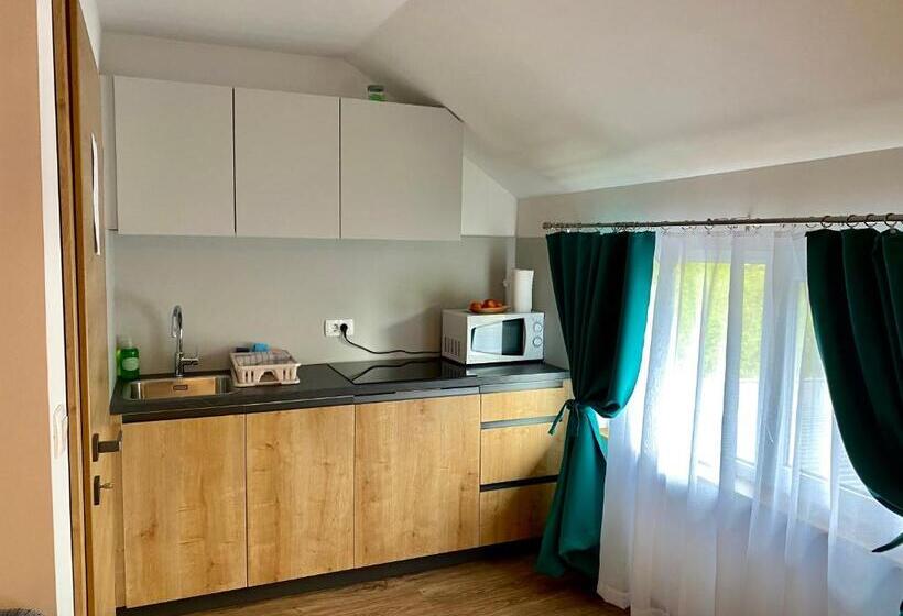 Apartments With Private Saunas & Wellness Gobi