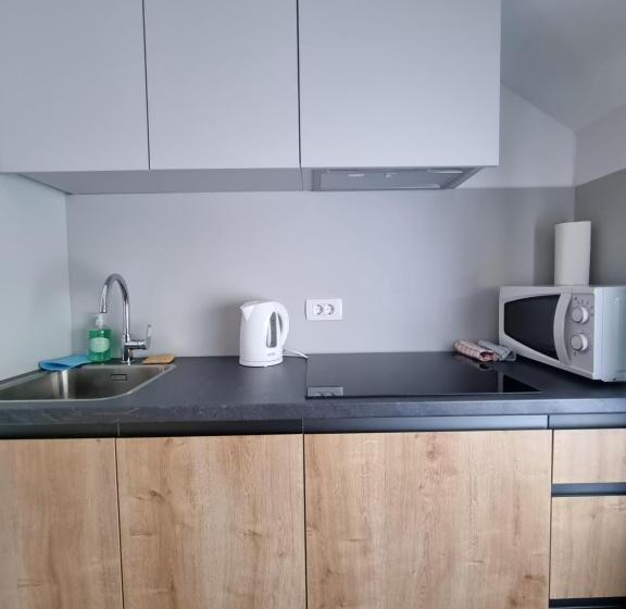 Apartments With Private Saunas & Wellness Gobi