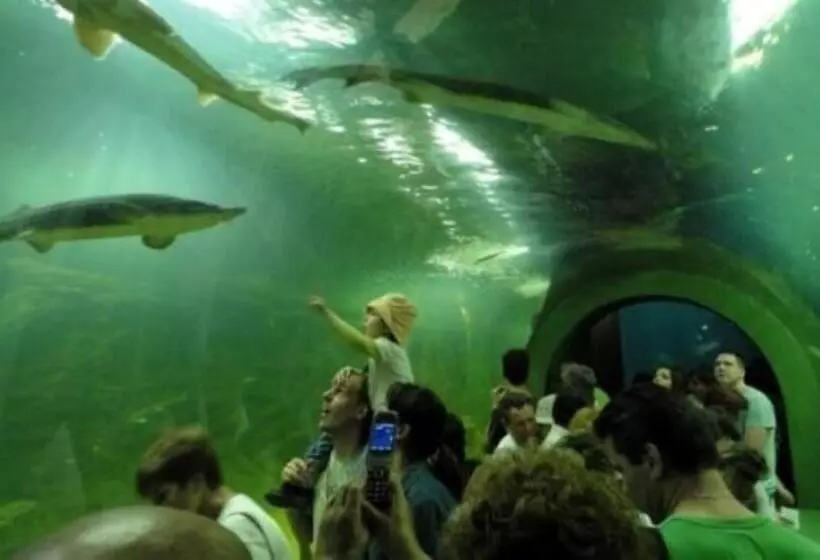 Aamiaismajoitus (B&B) Fenyő Panzió