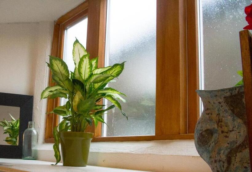 James John Hamilton House And Backpacker Hostel