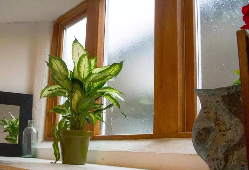 James John Hamilton House And Backpacker Hostel