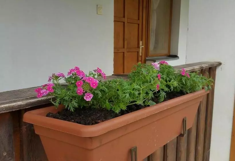 Majatalo élő Tisza Vendégház