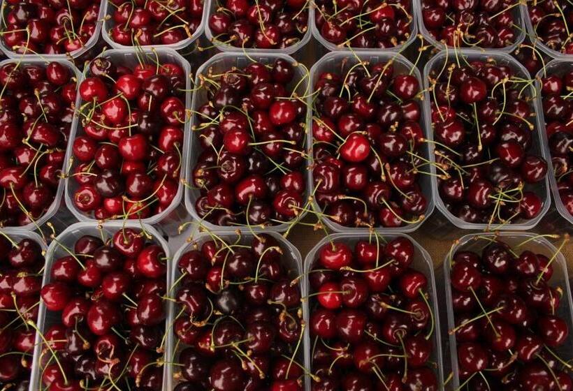 펜션 élő Tisza Vendégház