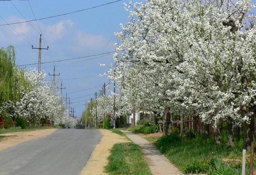 펜션 élő Tisza Vendégház