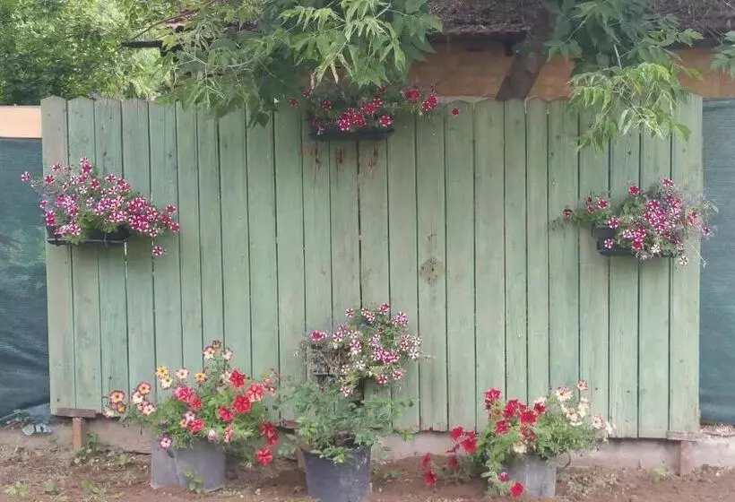 Majatalo élő Tisza Vendégház