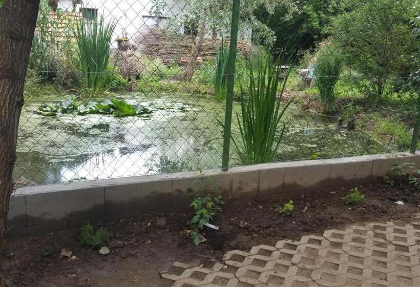 펜션 élő Tisza Vendégház