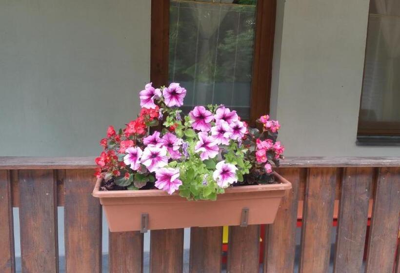 펜션 élő Tisza Vendégház