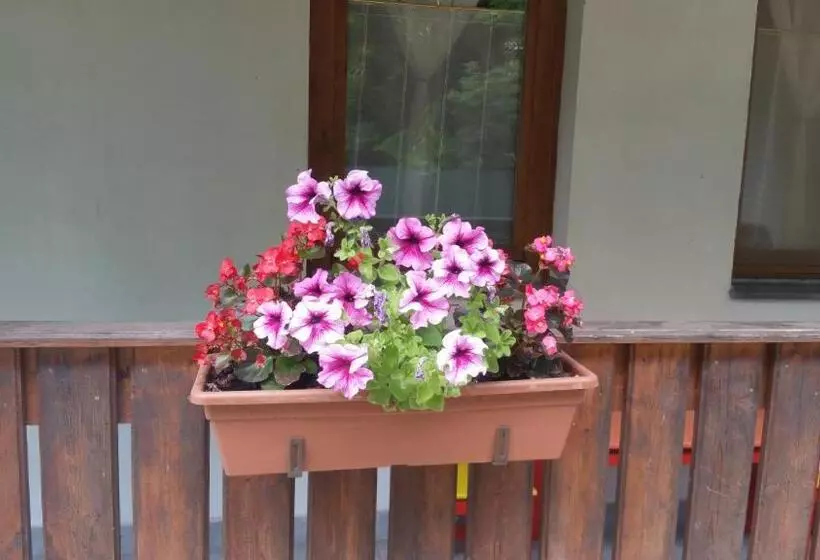 Majatalo élő Tisza Vendégház