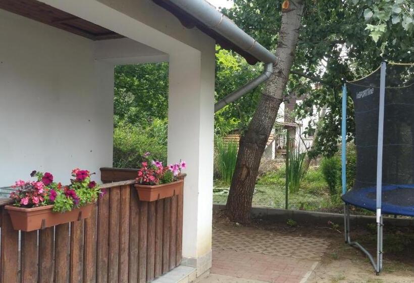 펜션 élő Tisza Vendégház