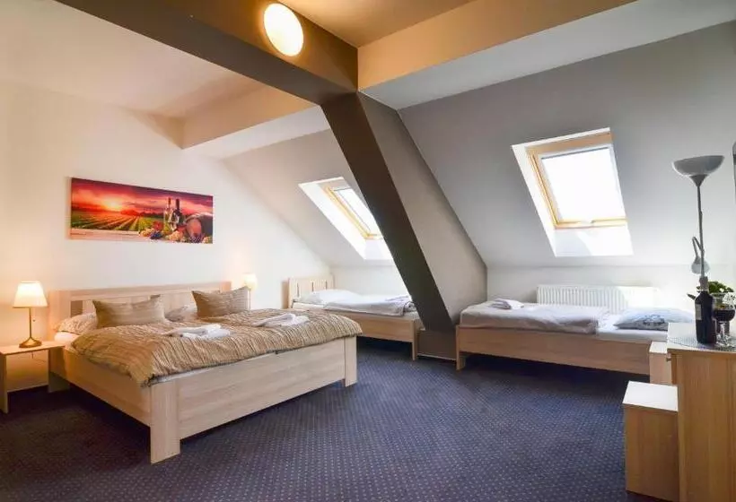 ペンション Penzion Zaječák