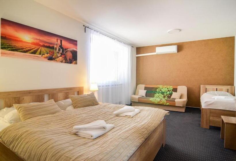 بنسيون Penzion Zaječák