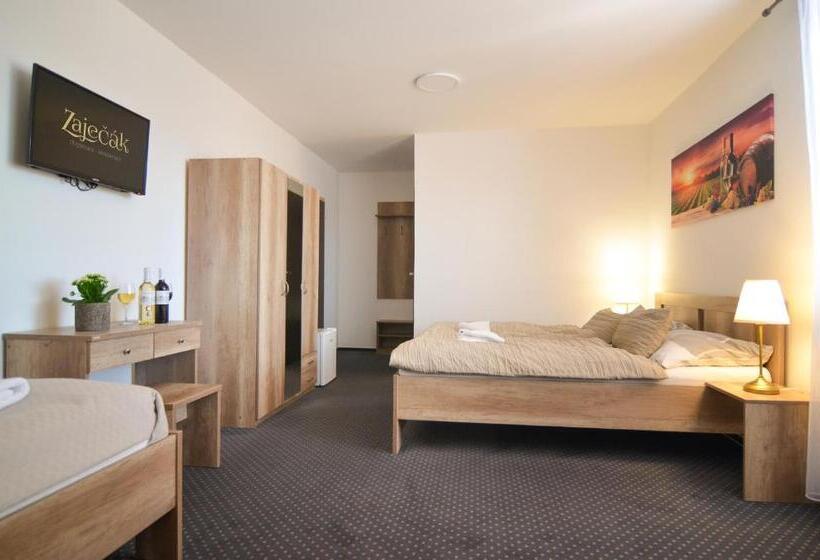 بنسيون Penzion Zaječák