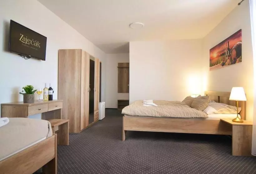 ペンション Penzion Zaječák