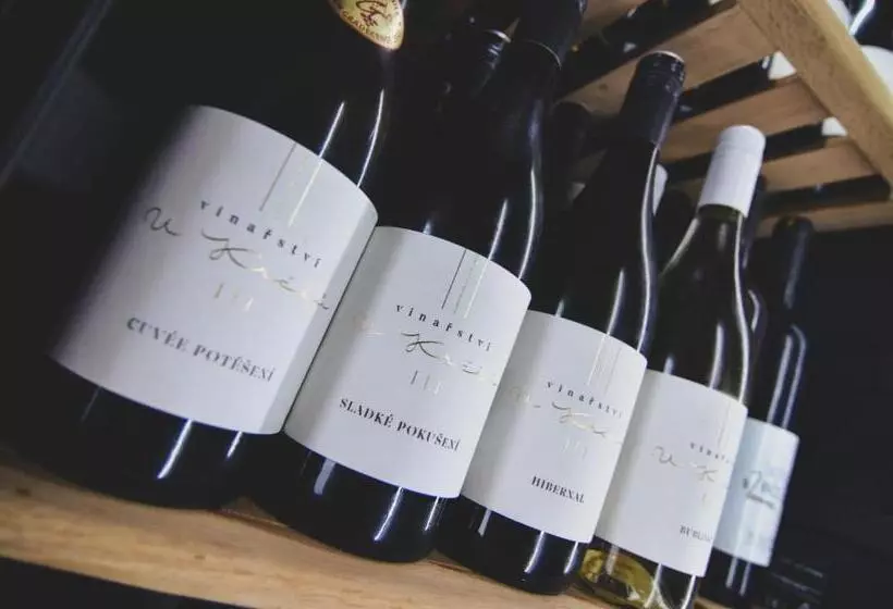 ペンション Penzion Zaječák