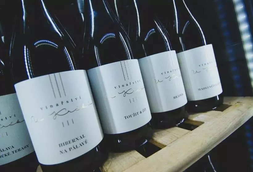 ペンション Penzion Zaječák