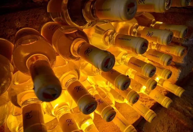 ペンション Penzion Zaječák