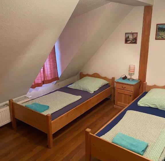 بنسيون Zirndorf Gästehaus