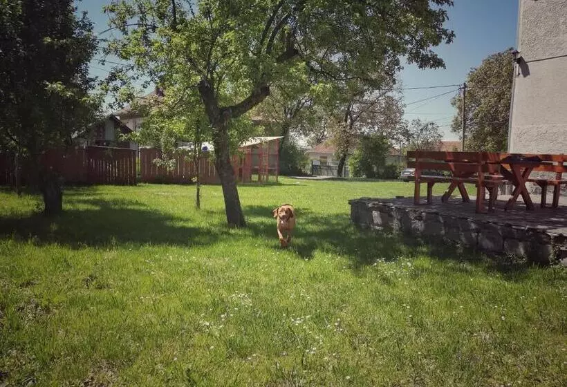 Pensiunea Apolka Panzió