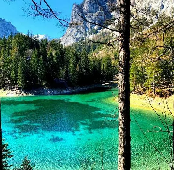 Bed and Breakfast Pension Prem