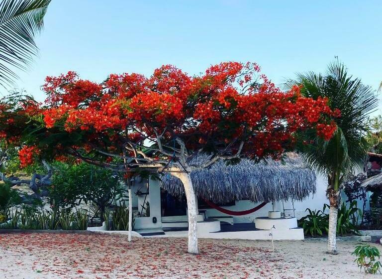 ホテル Casa Acquamarina