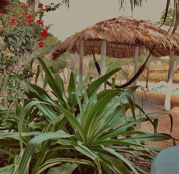 ホテル Casa Acquamarina