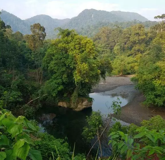 Majatalo Batu Kapal Guest House & Jungle Trekking
