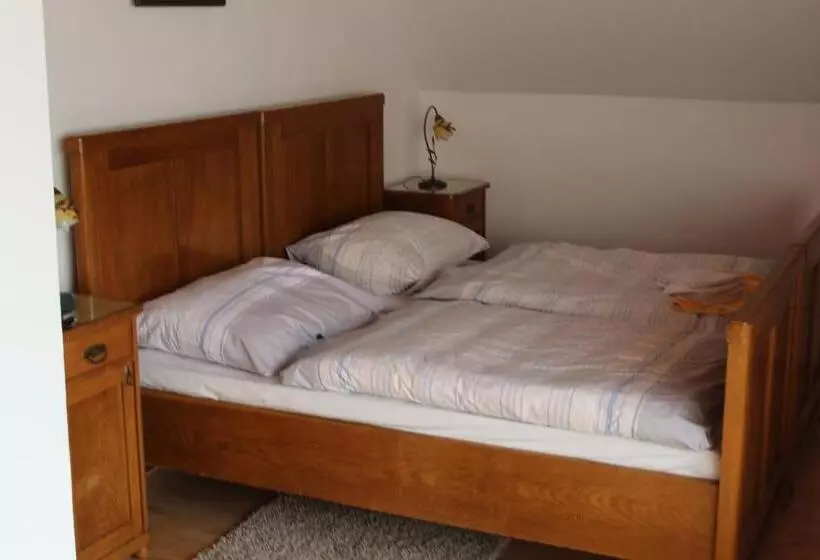 ペンション Penzion Mühl