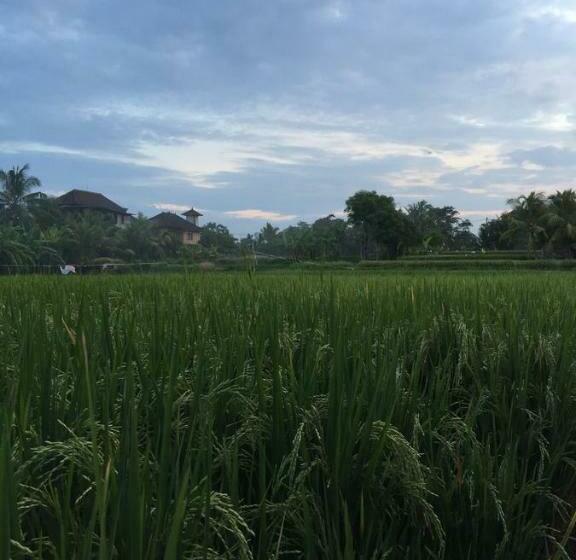 ペンション Pondok Buda Merta