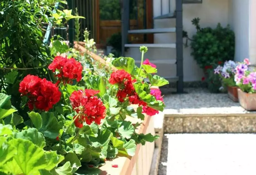 Raggio Di Sole Bed & Breakfast