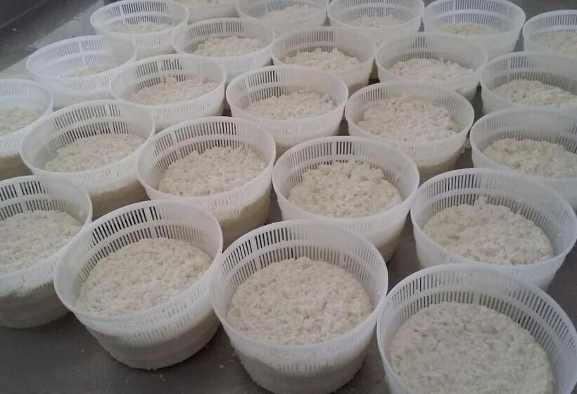 Rogliano Maison De Charme Avec Vue Panoramique