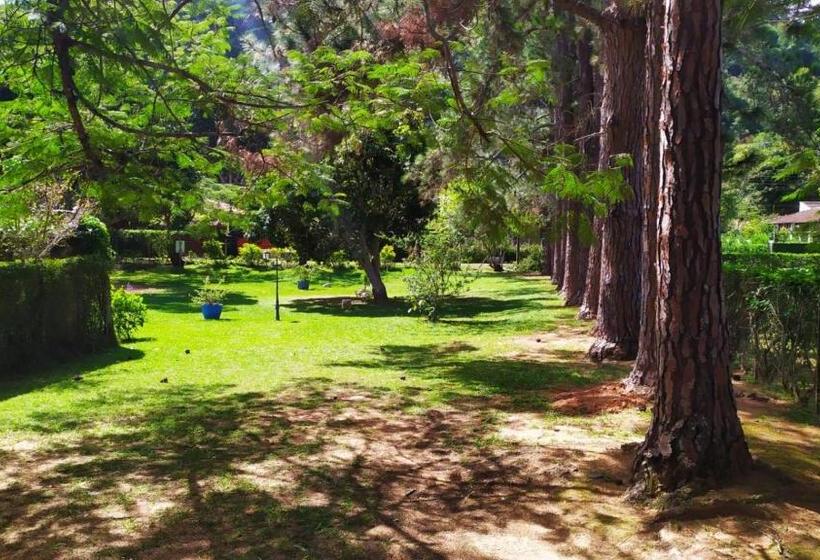 Aventura & Tranquilidade Em Secretário Pertinho De Itaipava   Trilhas Mountain Bike   Passeios De Qu