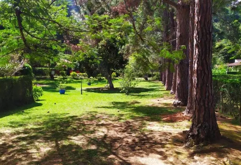 Aventura & Tranquilidade Em Secretário Pertinho De Itaipava   Trilhas Mountain Bike   Passeios De Qu