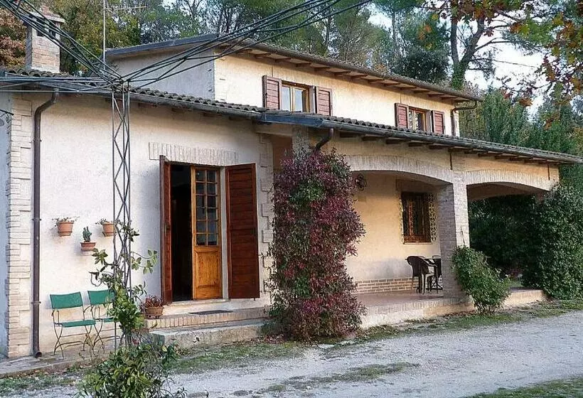 B&b Belvedere