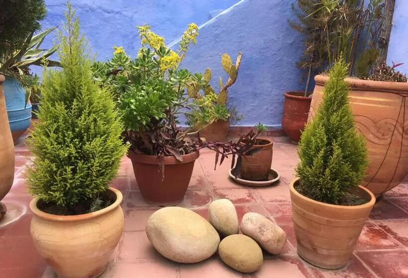 Aamiaismajoitus (B&B) Dar Onsar