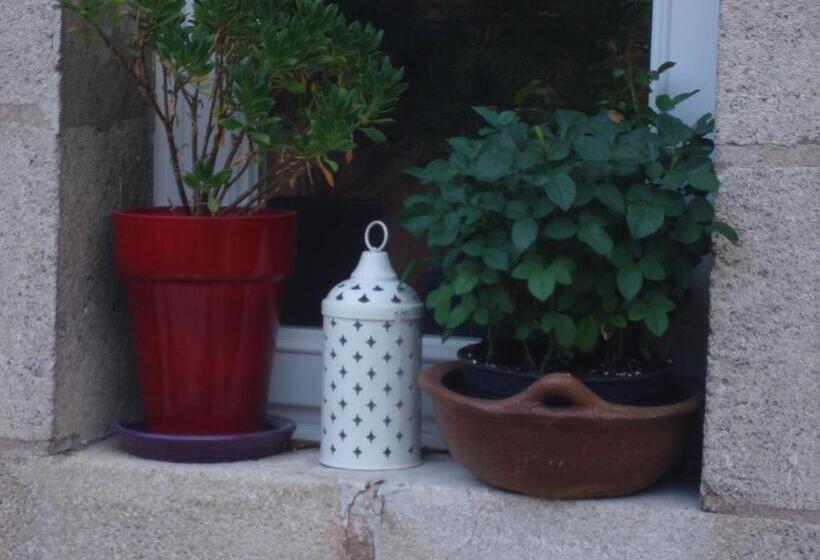 مبيت وإفطار Maison Velvet