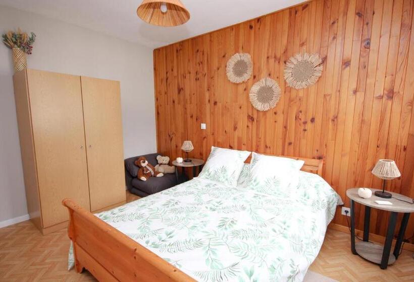 Coquet Appartement Type 2 De 56 M² En Centre Ville