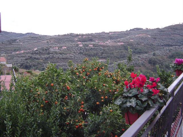 בית מלון כפרי B&b Ca  De Pippu