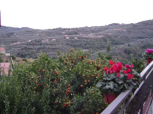 Hotelli B&b Ca De Pippu