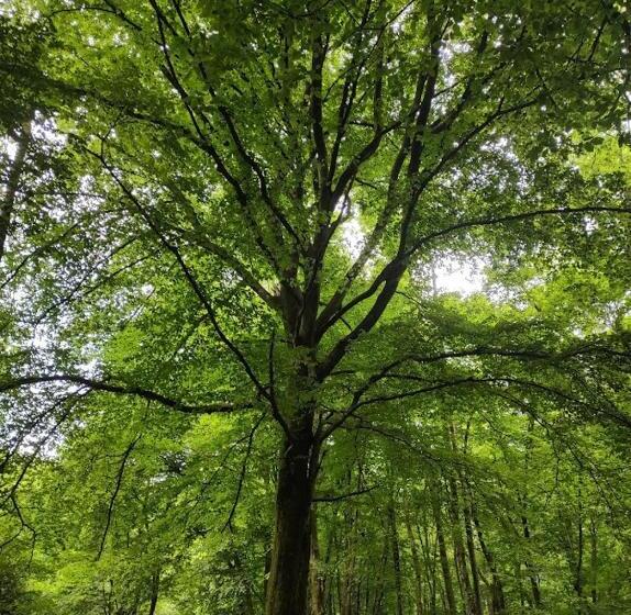 La Lisière Appt 2 Chambres