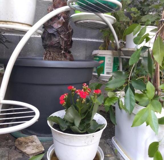 펜션 East Gate Guest Rooms