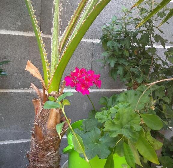 펜션 East Gate Guest Rooms