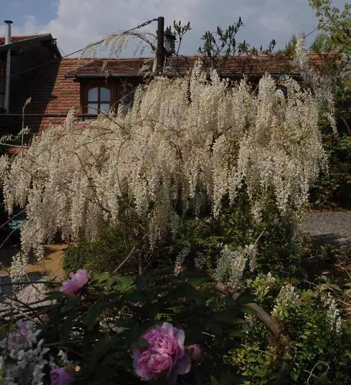 Majatalo Garten Vendégház