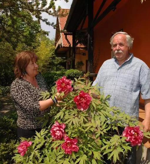 Majatalo Garten Vendégház