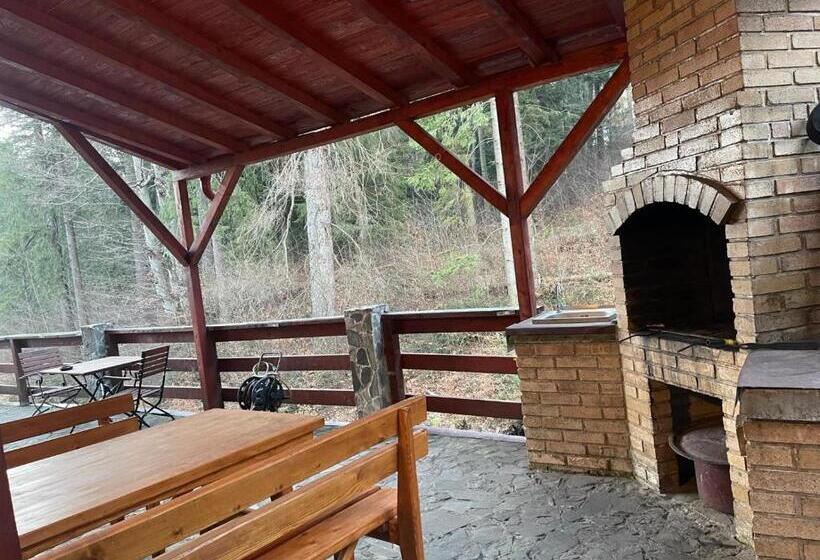 ペンション Camere De Inchiriat La Tuguiata